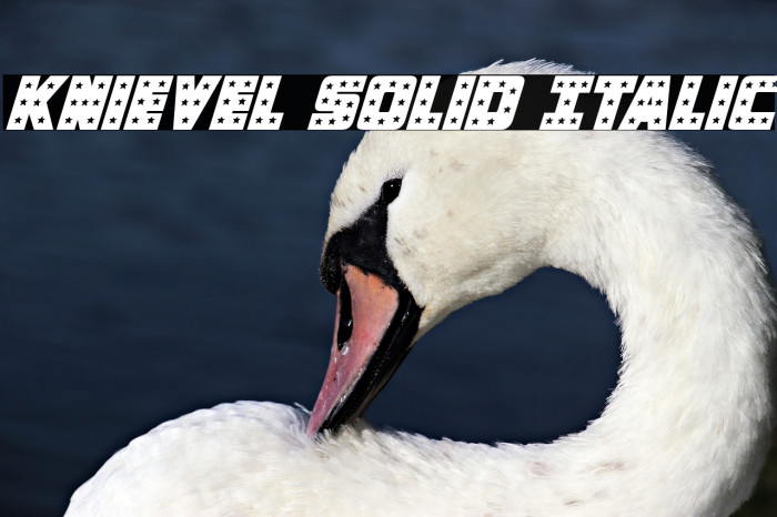 Knievel Solid Italic Font examples