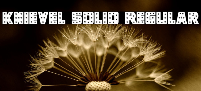 Knievel Solid Regular Font examples