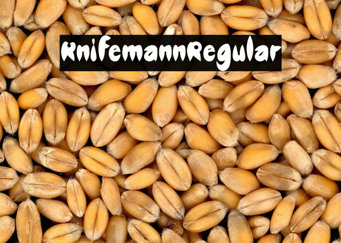 Knifemann-Regular Example 2