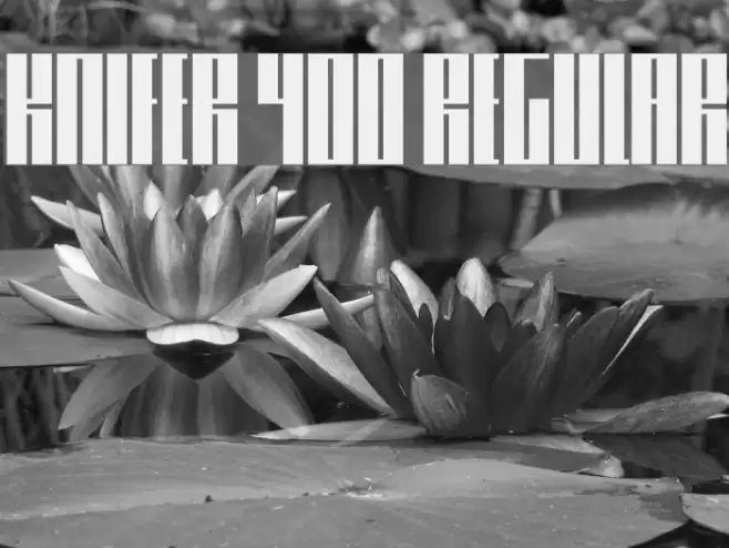 Knifer 400 Regular Font examples