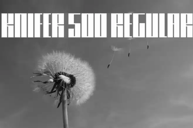 Knifer 500 Regular Font examples