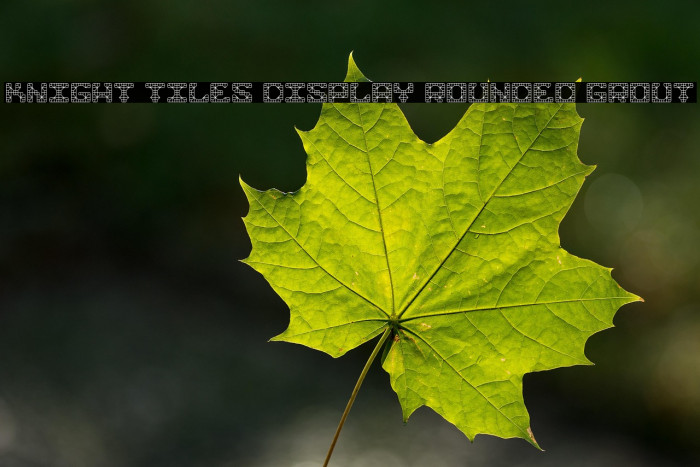 Knight Tiles Display Rounded Grout Example 1