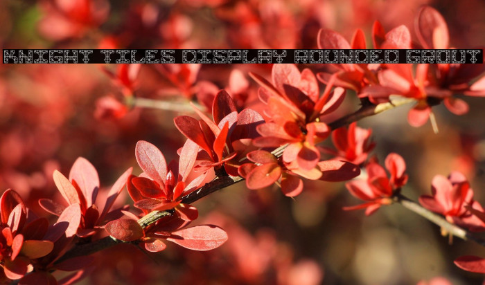 Knight Tiles Display Rounded Grout Example 3