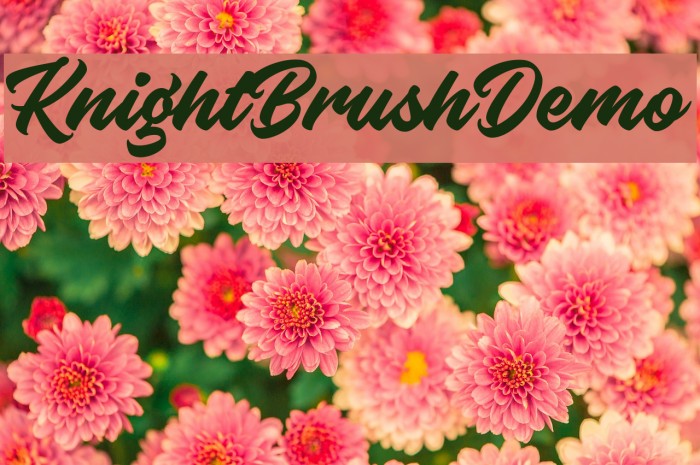 KnightBrushDemo Font examples