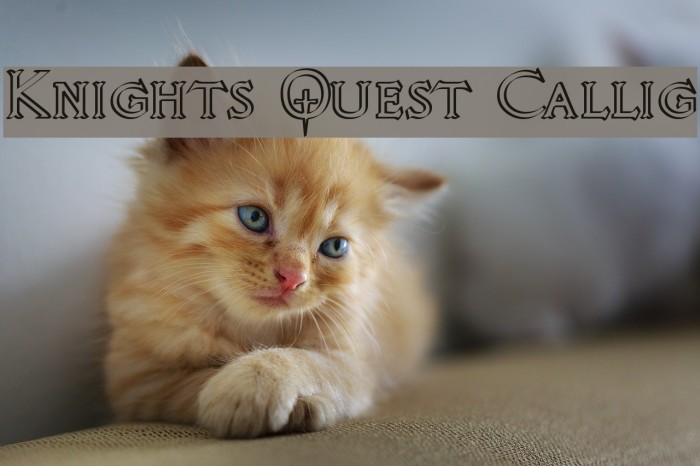 Knights Quest Callig フォント examples