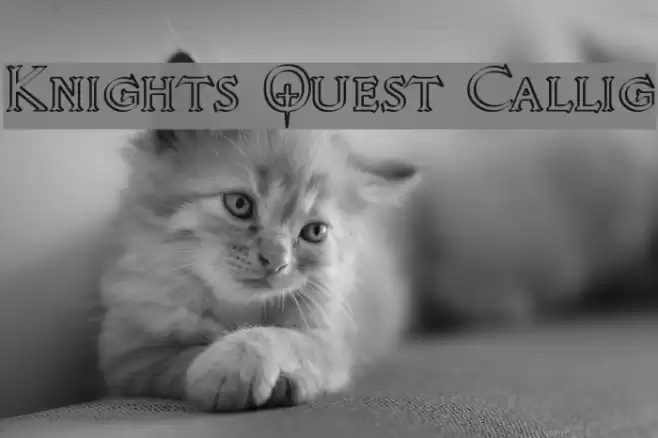 Knights Quest Callig フォント examples