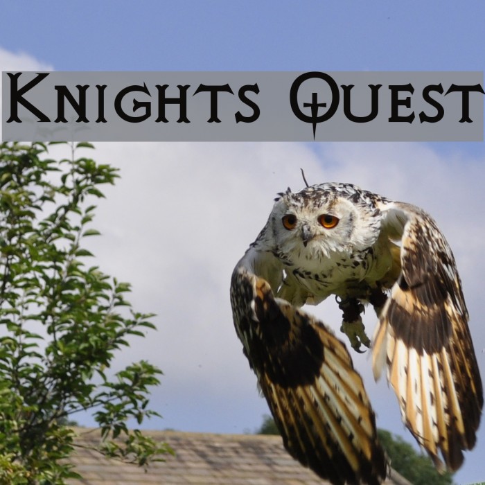 Knights Quest Polices examples