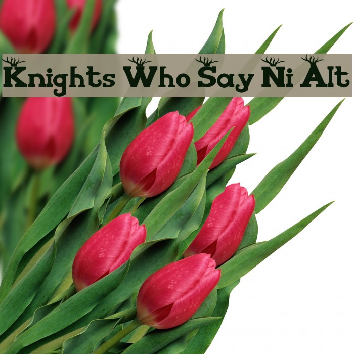 Knights Who Say Ni Alt Font examples
