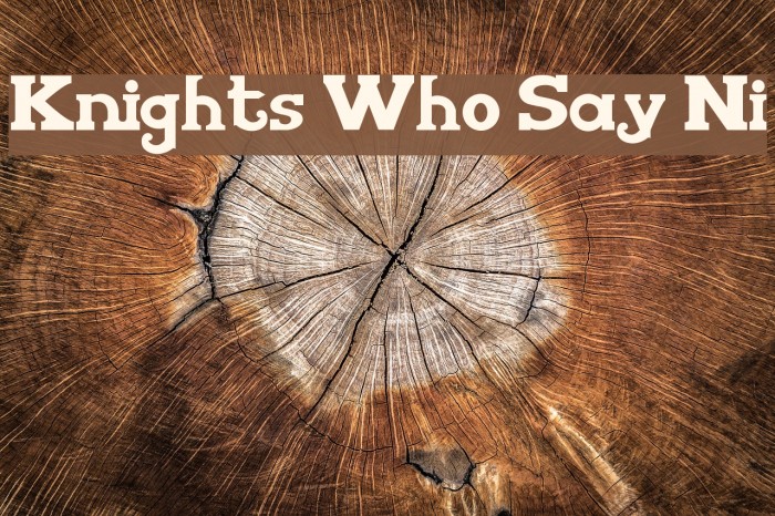 Knights Who Say Ni Font examples