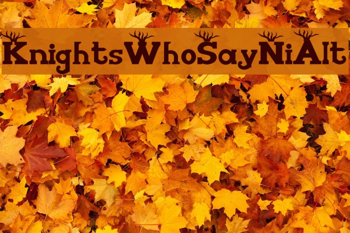 KnightsWhoSayNiAlt Example 2