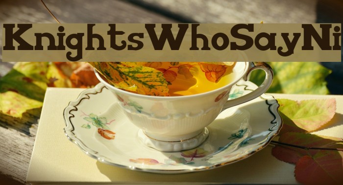 KnightsWhoSayNi Font examples