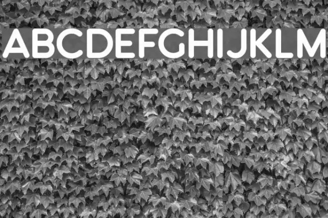 Knigsberg Font examples