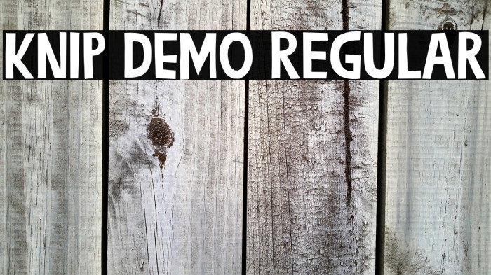 Knip DEMO Regular Example 1