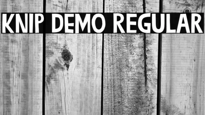 Knip DEMO Regular Font examples