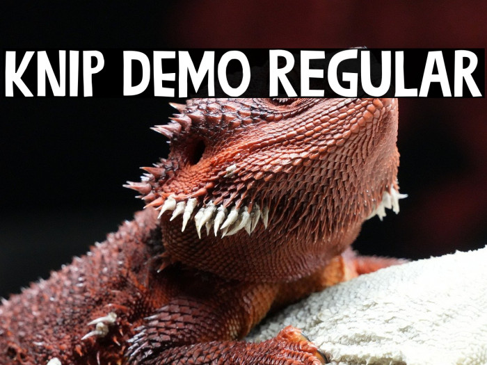 Knip DEMO Regular Example 3