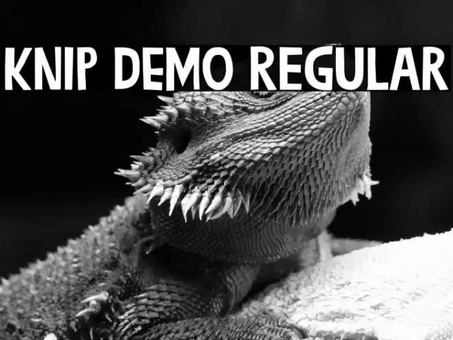 Knip DEMO Regular Font examples