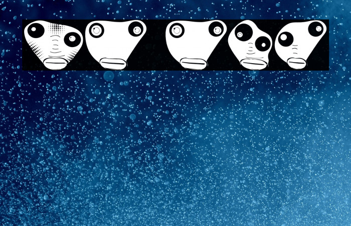 Knistern Regular Example 2