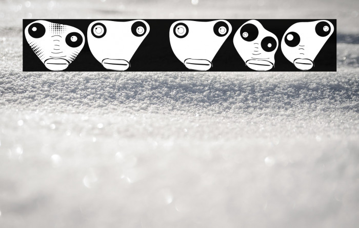 Knistern Regular Example 3