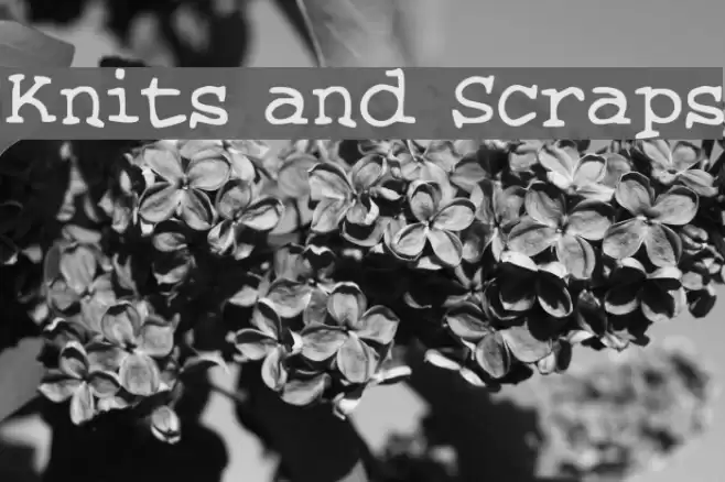 Knits and Scraps Fonte examples