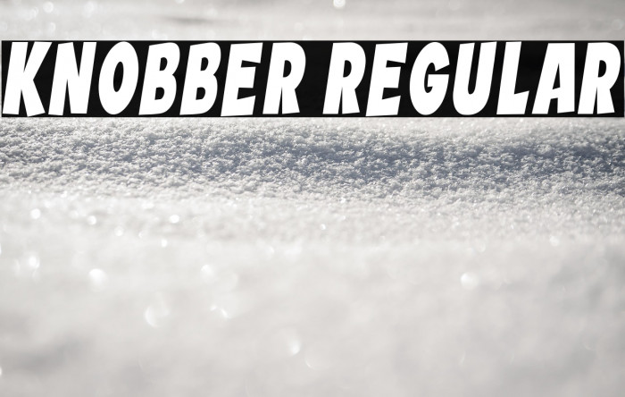 Knobber Regular Example 3