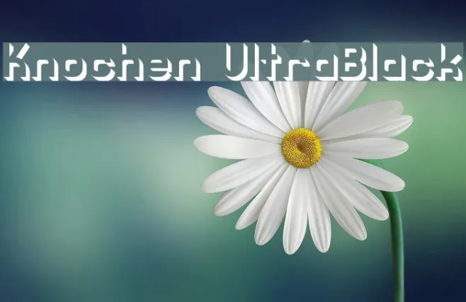Knochen UltraBlack Example 3