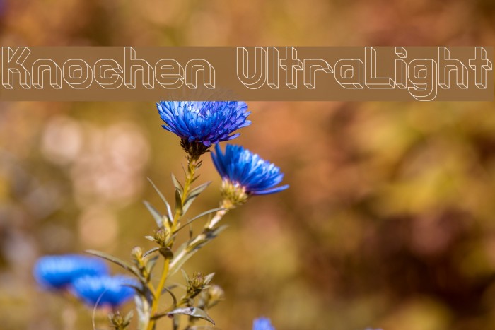 Knochen UltraLight फ़ॉन्ट examples