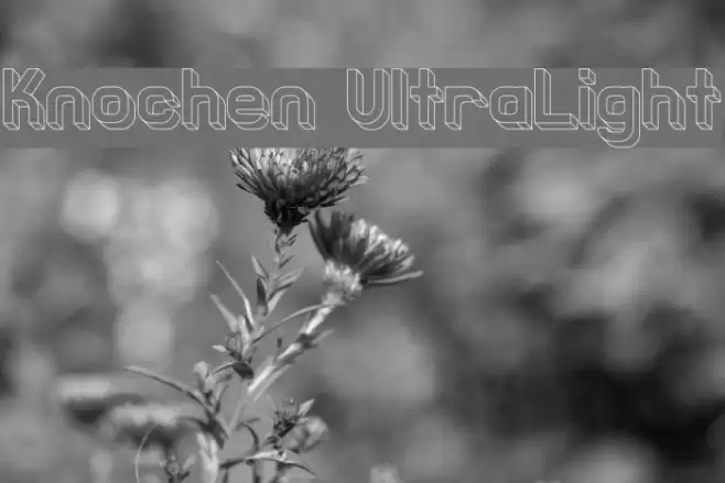 Knochen UltraLight फ़ॉन्ट examples