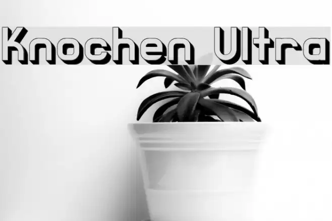 Knochen Ultra Font examples