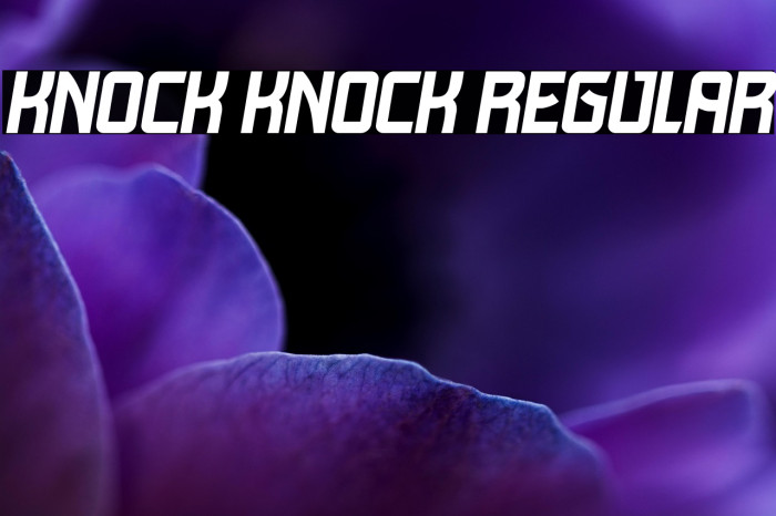 Knock Knock Regular Example 2