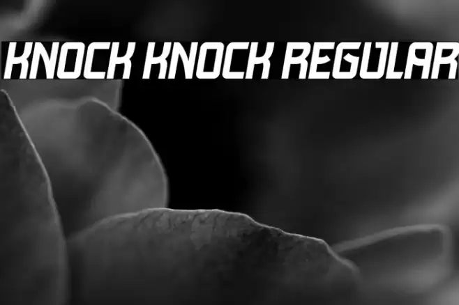 Knock Knock Regular Font examples