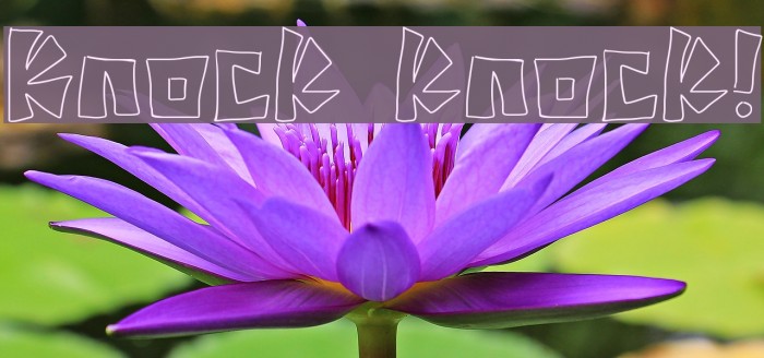 Knock knock! Example 3