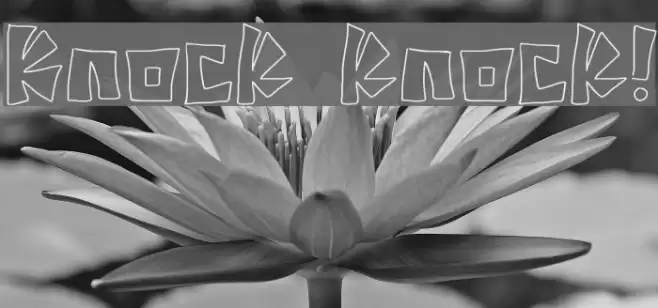 Knock knock! Font examples