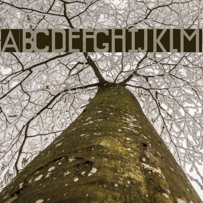 Knockout Font examples