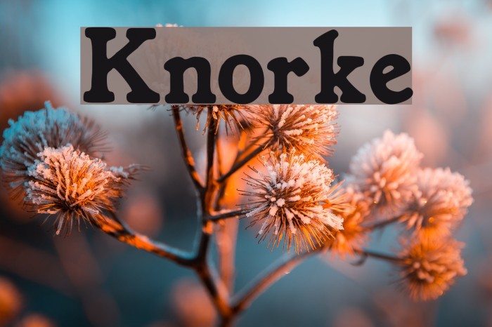 Knorke Example 2