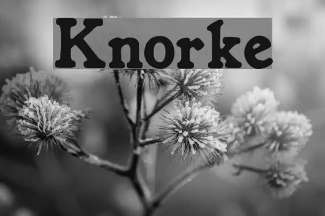 Knorke Font examples