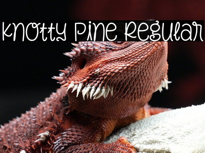 Knotty Pine Regular Example 1