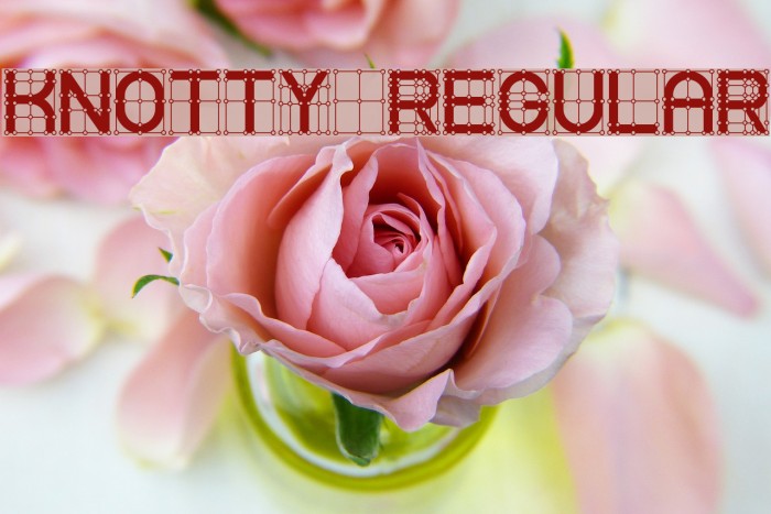 Knotty Regular Example 1