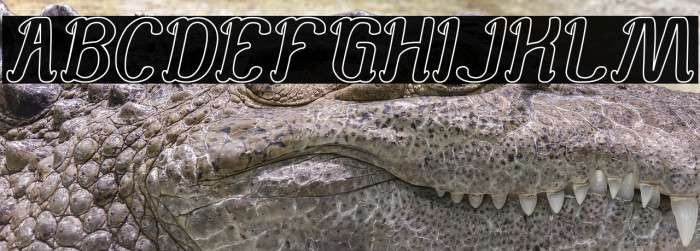 Knowing How-Hollow Example 1