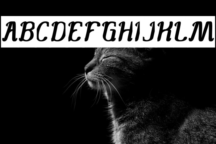 Knowing How-Inverse Example 2