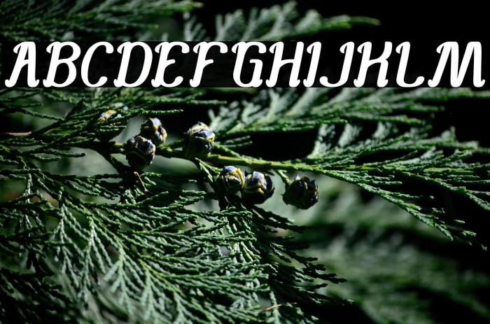 Knowing How Example 1