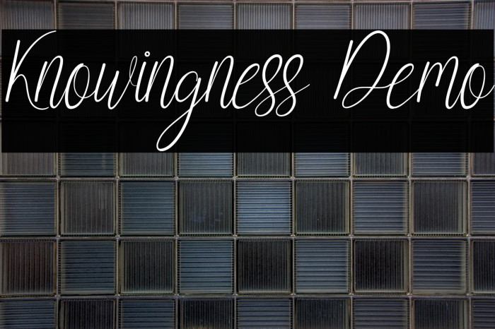 Knowingness Demo Example 1