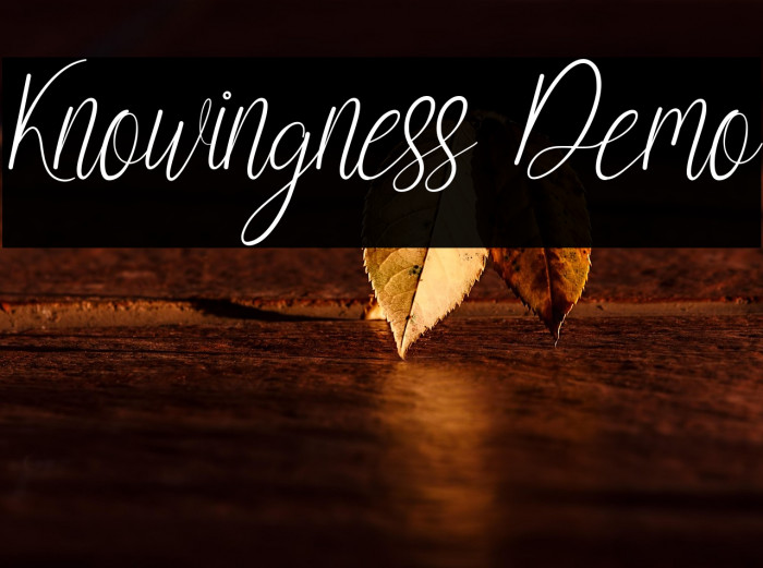 Knowingness Demo Example 3