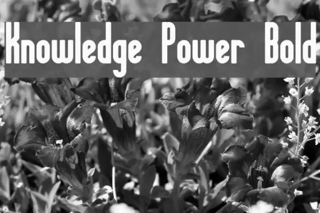 Knowledge Power Bold Font examples