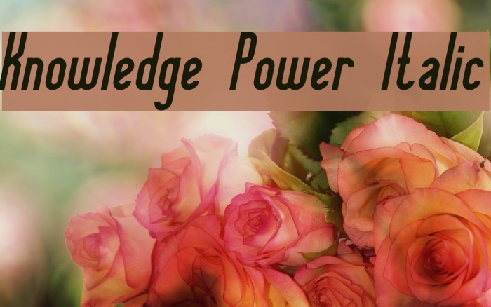 Knowledge Power Italic Font examples