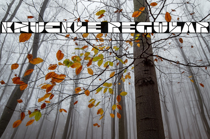 Knuckle Regular Example 2