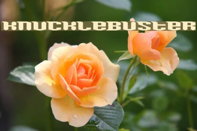 Knucklebuster Example 1
