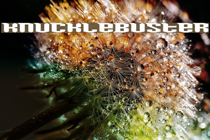 Knucklebuster Font examples