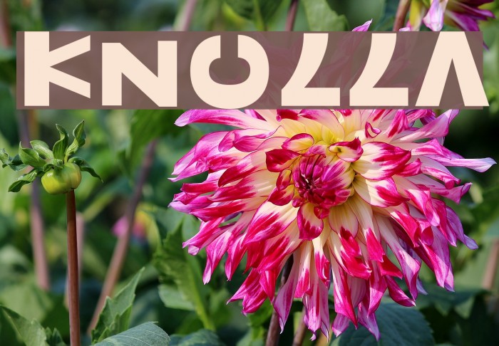 Knulla Font examples