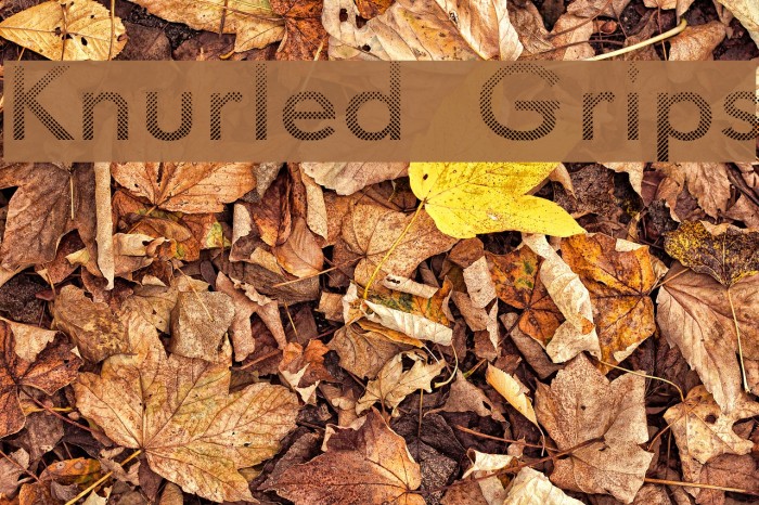Knurled Grips Font examples