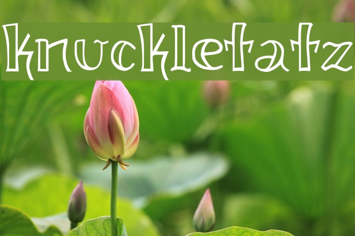 knuckletatz Font examples